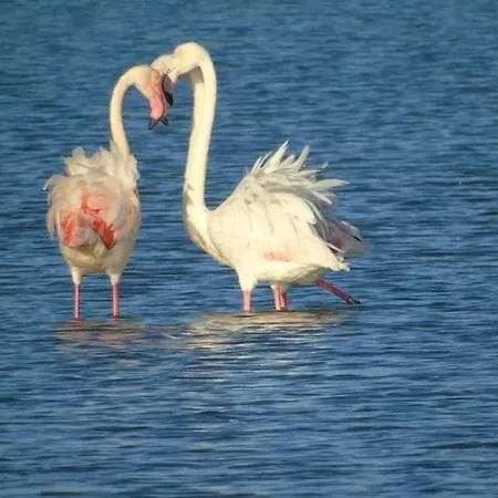 Bed and Breakfast La Perla Del Mare