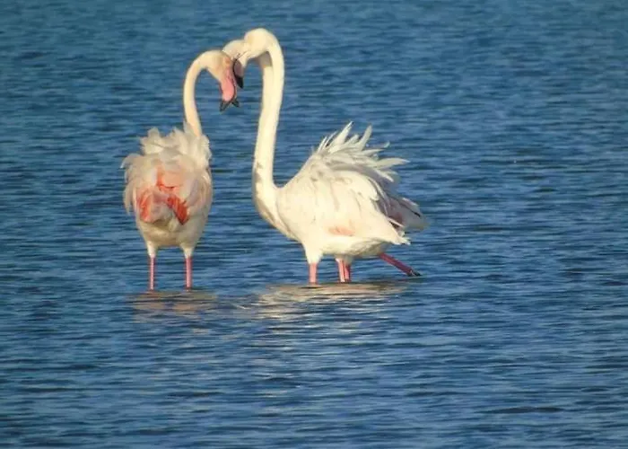 Frühstückspension La Perla Del Mare